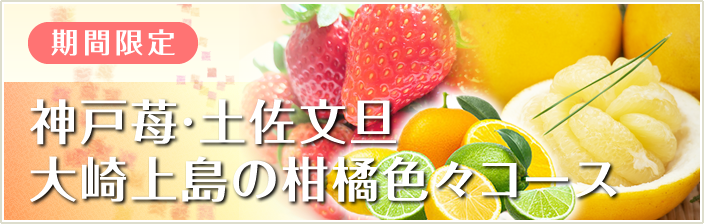 期間限定  神戸苺・土佐文旦・大崎上島の柑橘色々コース